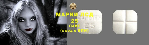 винт Гусь-Хрустальный