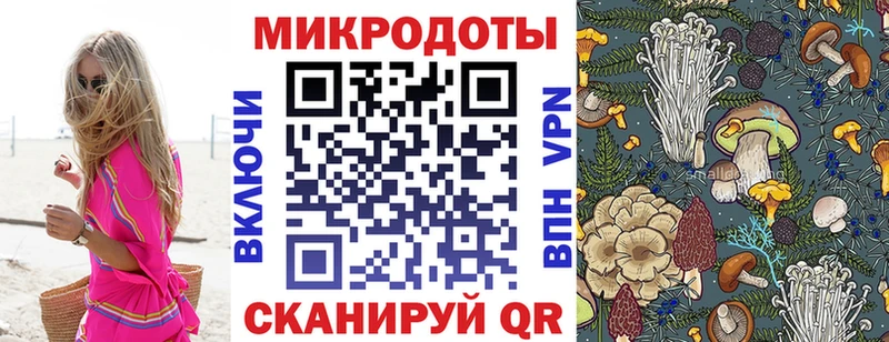 хочу наркоту  Новочеркасск  Псилоцибиновые грибы мицелий 